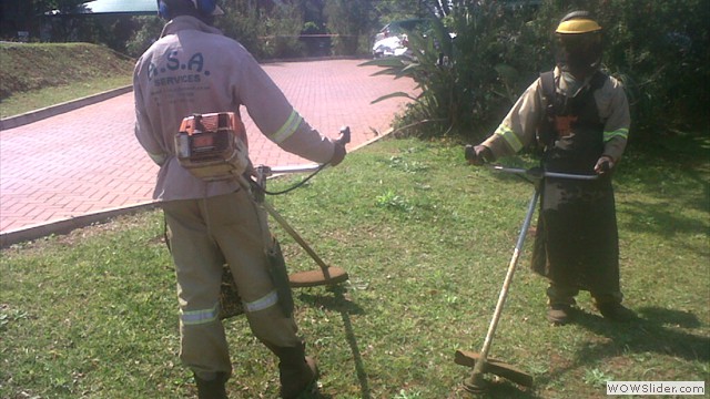 brush cutting 1