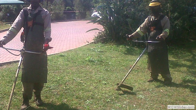 brushing cutting
