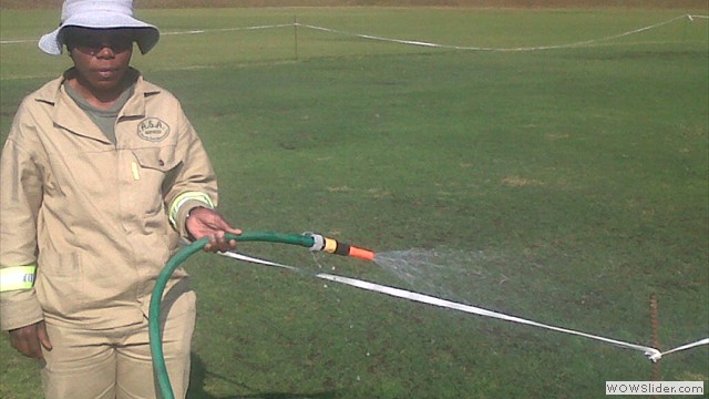 cricket pitch maintenance