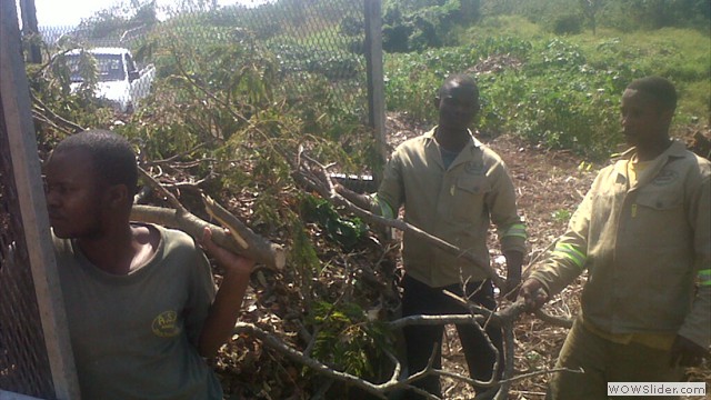 Garden refuse