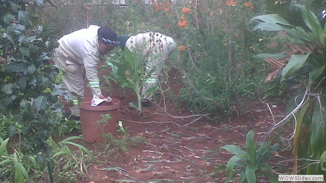 planting at howard