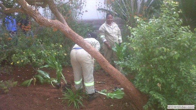 planting at howard 2